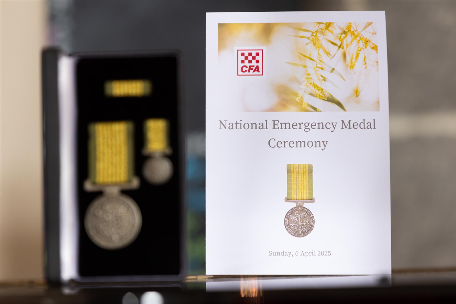 The National Emergency Medal recognises service in a nationally significant emergency.